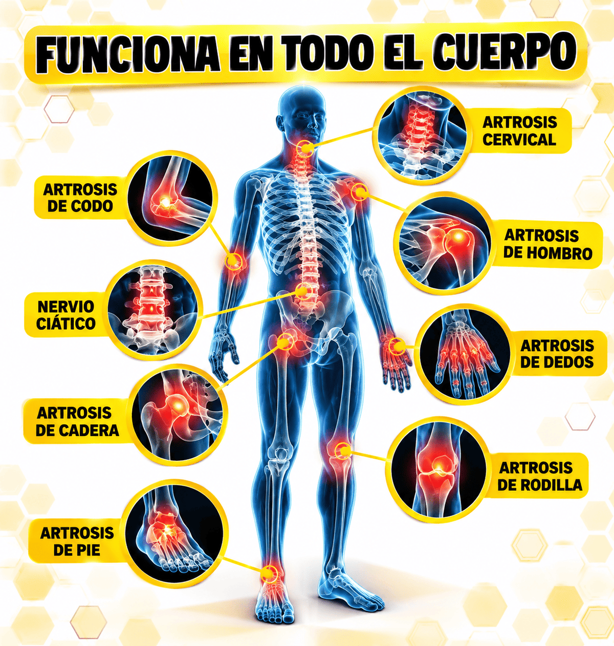 Elimina el dolor de raiz