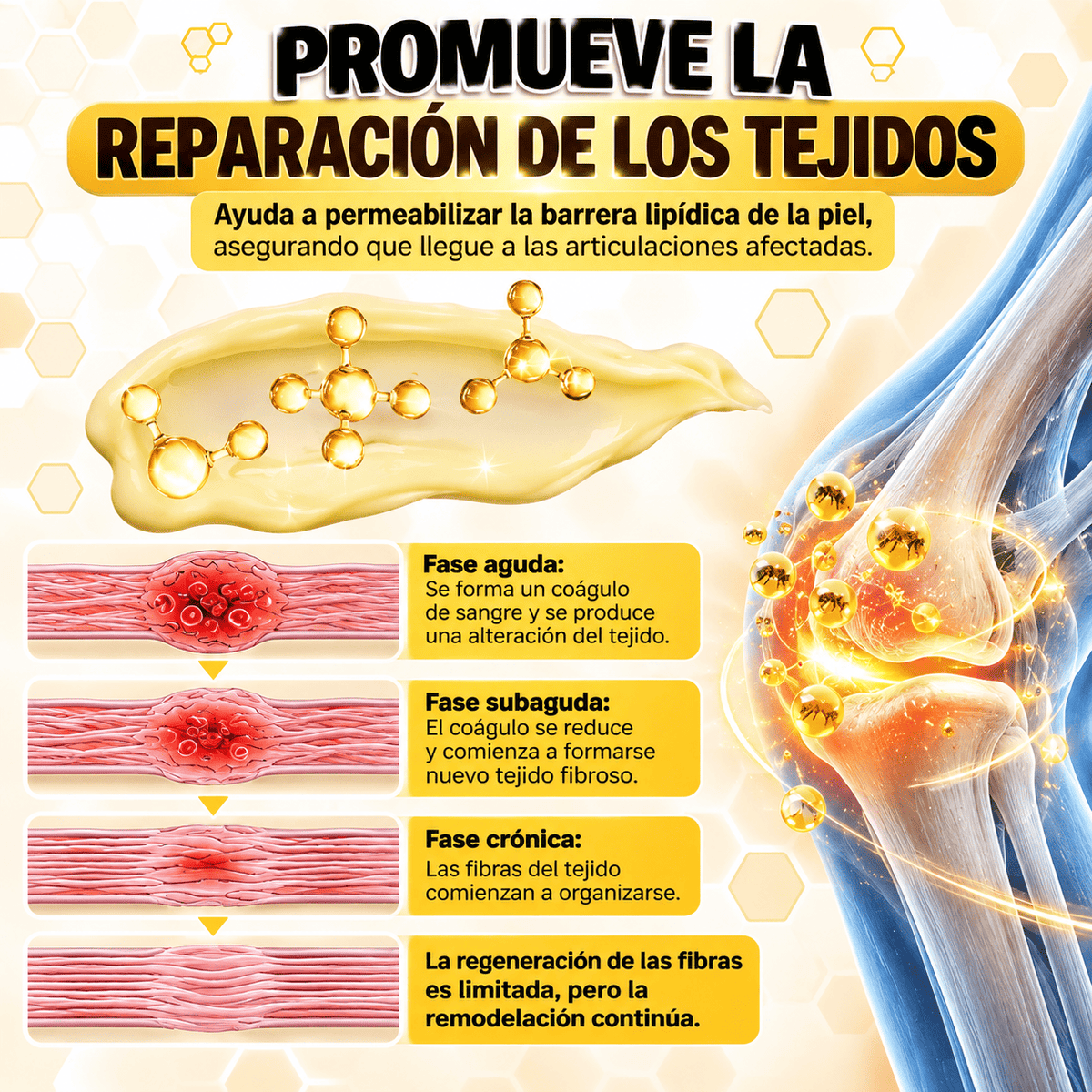 Elimina el dolor de raiz